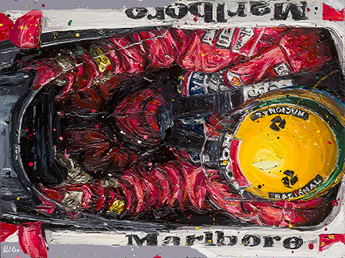 BIRDS EYE SENNA by Paul Oz (FORMULA 1 & MOTORSPORT)