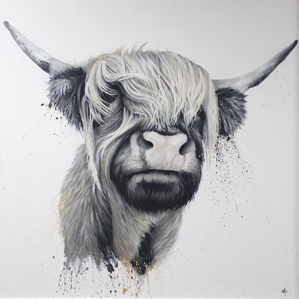 Highland Cow by Dean Martin