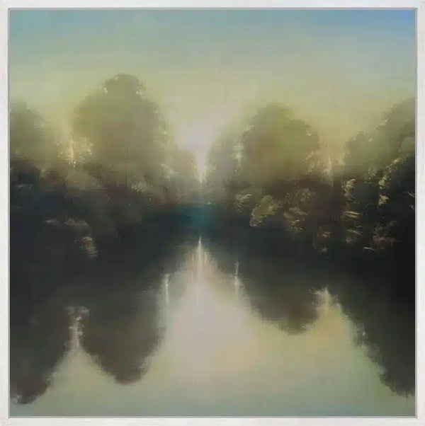 Fleeting Light By Louise Fairchild