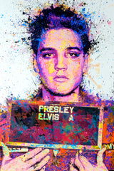 Elvis Mugshot By Daniel Mernagh