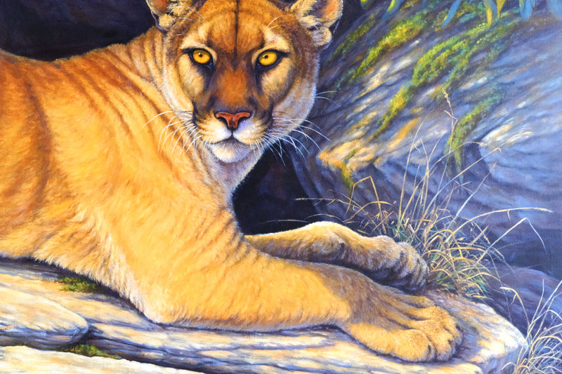 Vigilant Puma by Kim Brooks