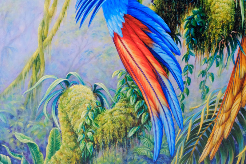 Military Macaws by Kim Brooks