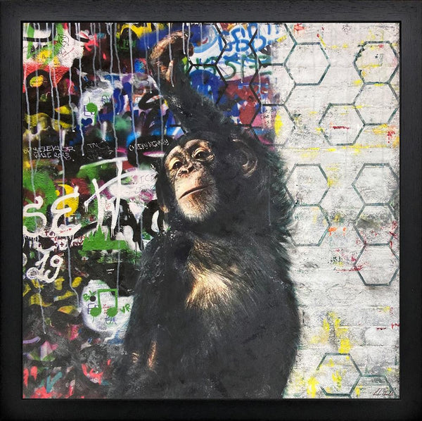 Urban Chimp